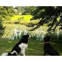 Abbey Farm Bed And Breakfast