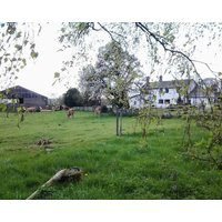 Thorps Farm Bed and Breakfast