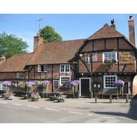 The Plume of Feathers