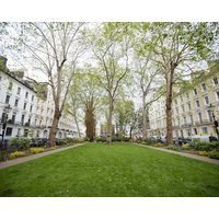 Norfolk Inn Paddington