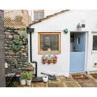 Foxglove Cross Hills