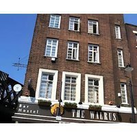 The Walrus Bar and Hostel