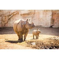 Benidorm: Gram Hotel Bali ★★★★ - Flights - B&B - Terra Natura & Aqua Nature Tickets | Wowcher