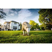 Wrexham Llyndir Hotel by Belvilla Break for 2: Late Checkout & Superior Room Upgrade Available. | Wowcher