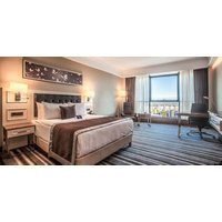 Radisson Blu Hotel