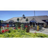 Best Western Manor Hotel & Suites