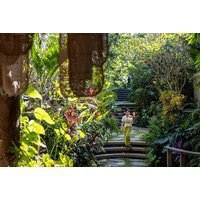 PRICE DROP! 7-14nt Award Winning 4* Bali Multi-Location Holiday: Seminyak & Ubud Resorts