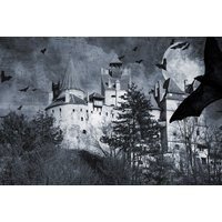 Bucharest City Break with Dracula's Castle Tour & Return Flights | Wowcher