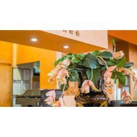 Flash Sale, Flight+Hotel, West Sicily, Italy